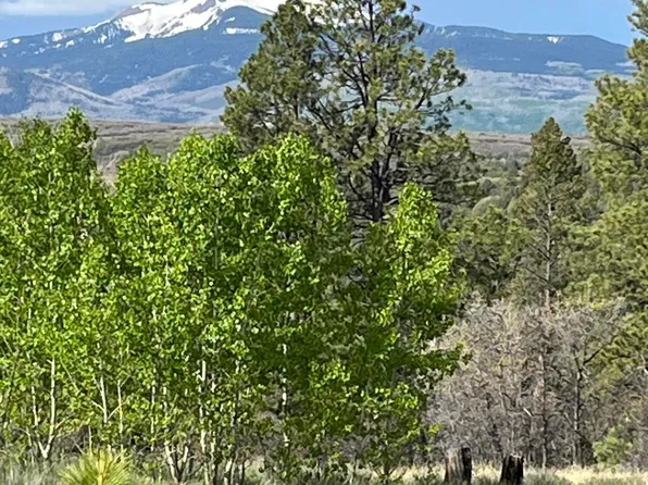 LOT 21 Peninsula Dr, Placerville, CO 81430