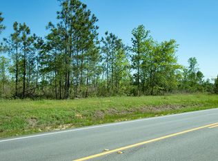 11-011 State Highway 171, Bartow, GA 30413