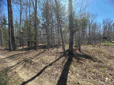 LOT 29 S 1st St, Manistique, MI, 49854