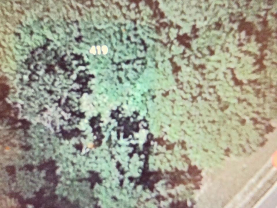 2nd image of 419 STATE ROAD 207