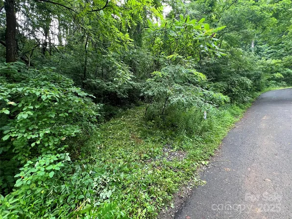 LOT 58 Turn A Bout Ct, Waynesville, NC 28785