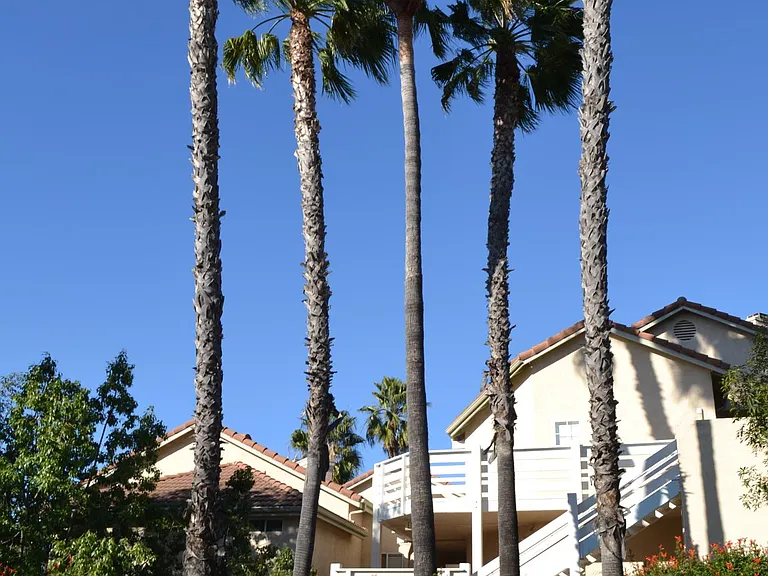 11235 Affinity Ct — Photo 23