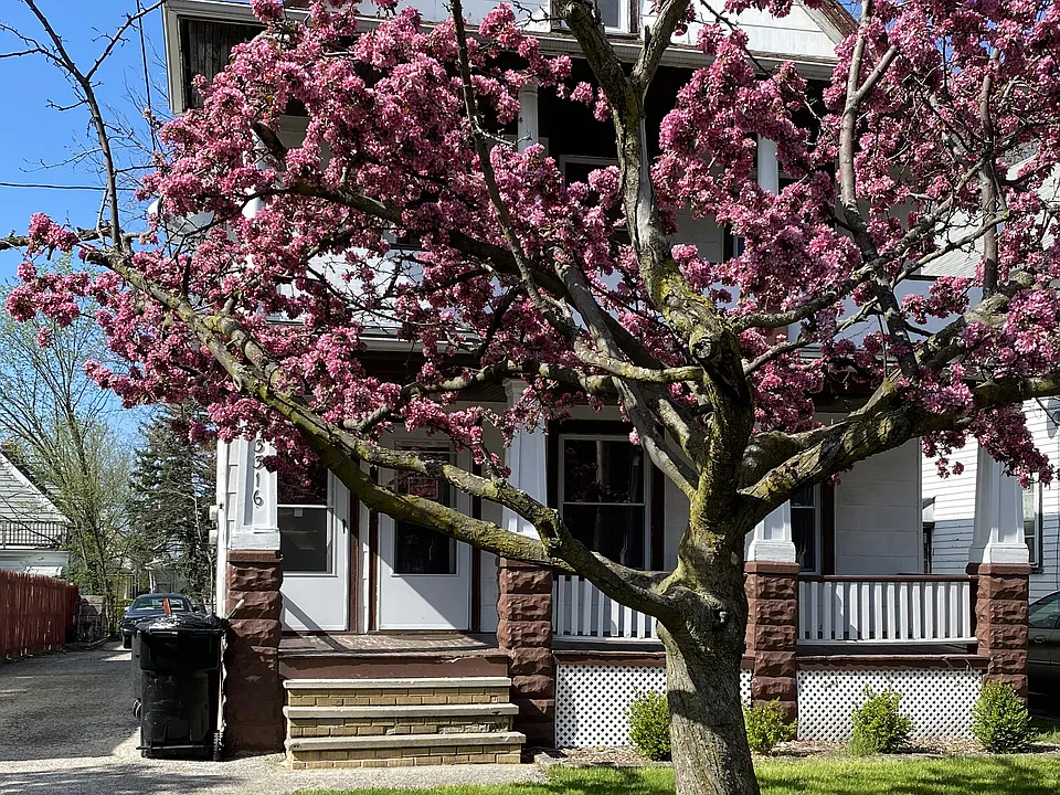 2 Bedroom 1 Bath Unit - Renovated West Side Of Cleveland