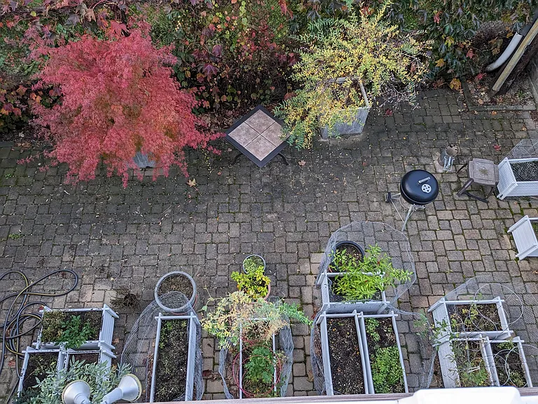 Walker St — Photo 11
