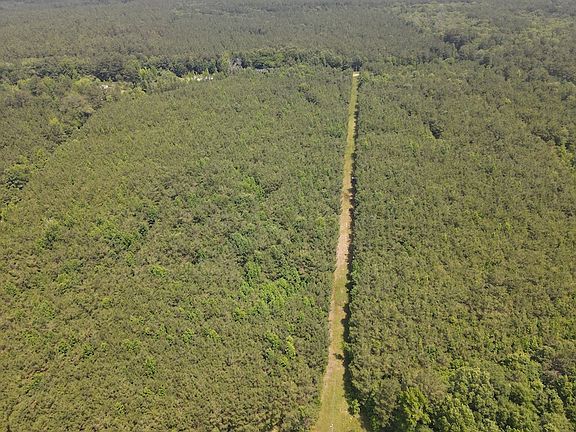 2nd image of Ouachita Road 437 Lot Wp001