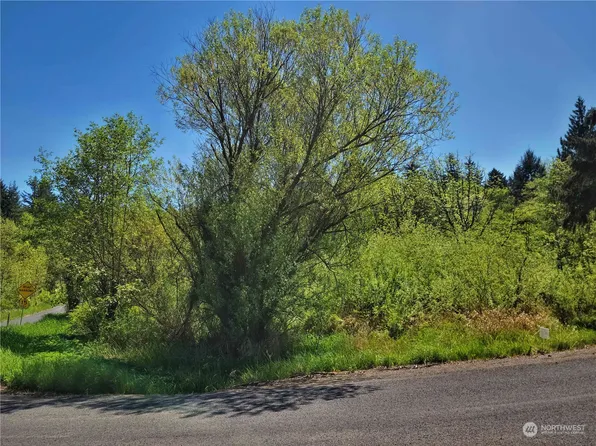 0 Blair Heights, Centralia, WA 98531