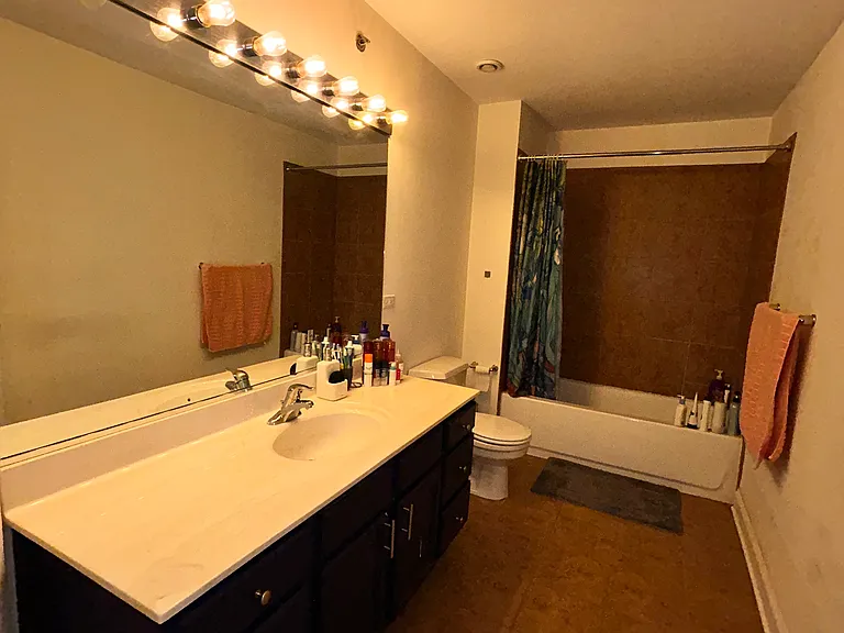 1224 W Van Buren St #615 — Photo 11