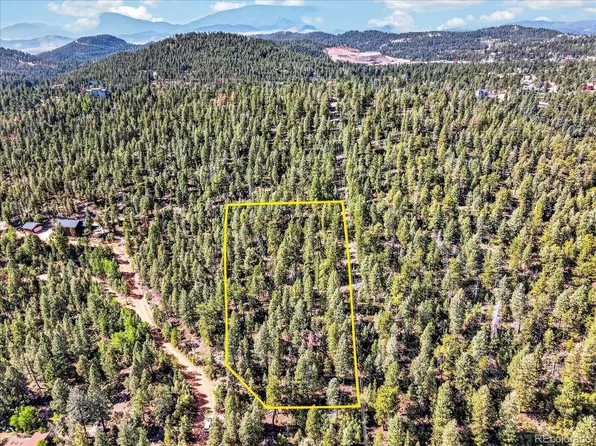 12907 S Cindy Avenue, Pine, CO 80470