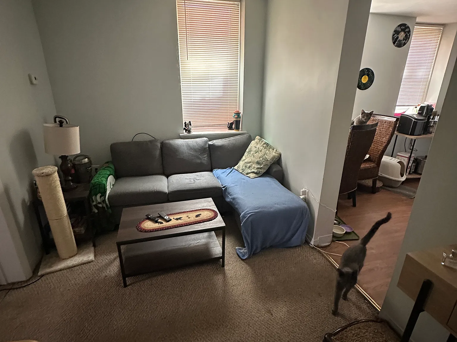 2 bed, 9999 sqft, $2,800 — Photo 3
