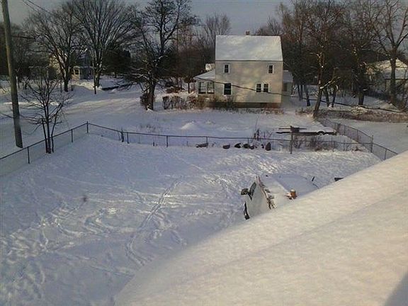 back yard