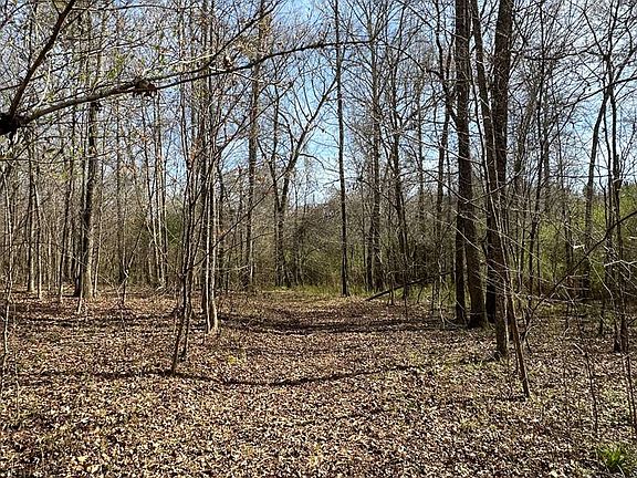 5th image of 10-002 Butler Bridge Rd