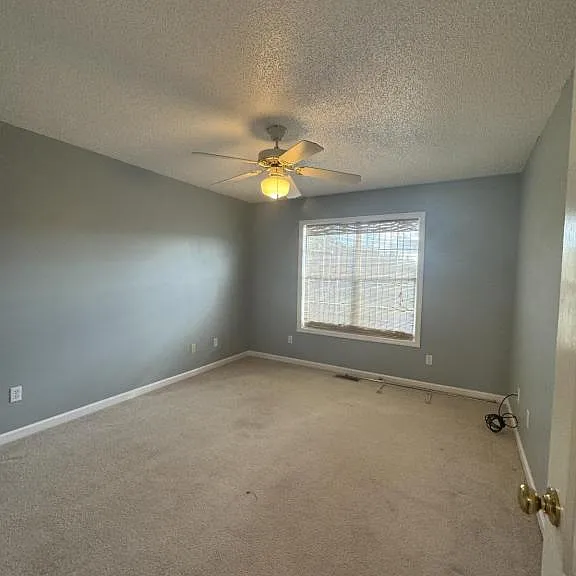114 Palm Dr — Photo 13