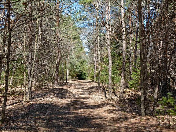 4th image of 8616 Cedar Run Rd