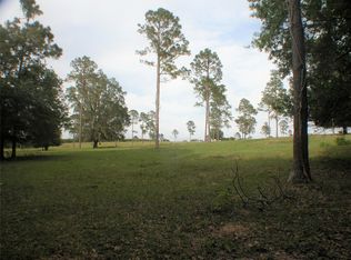 35338 Platt Rd, Dade City, FL 33523