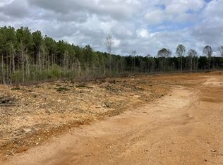 540 Elbert Ln NE, Brookhaven, MS 39601