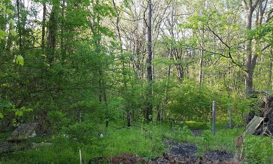 3014 Mountain Rd, Halifax, VA 24558 Zillow