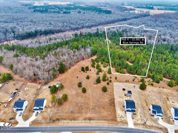 LOT 4 Blue Springs Rd, Red Springs, NC 28377