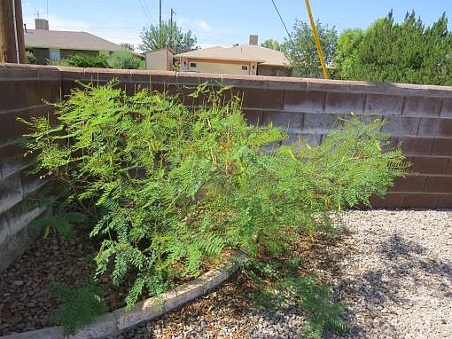 4th image of 721 Montwood Ct