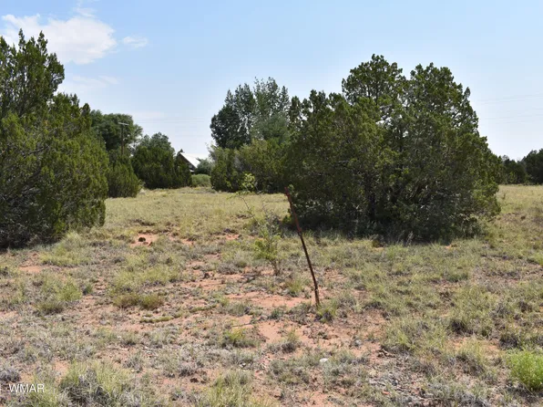 72 Dawn Ln, Concho, AZ 85924