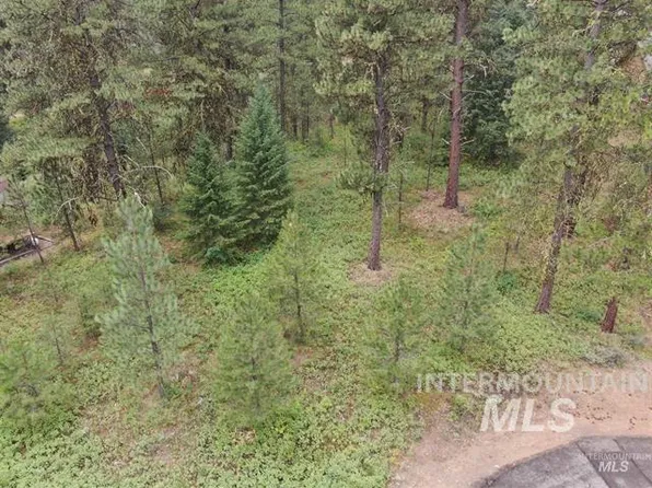 Tbd Ponderosa Ct, New Meadows, ID 83654