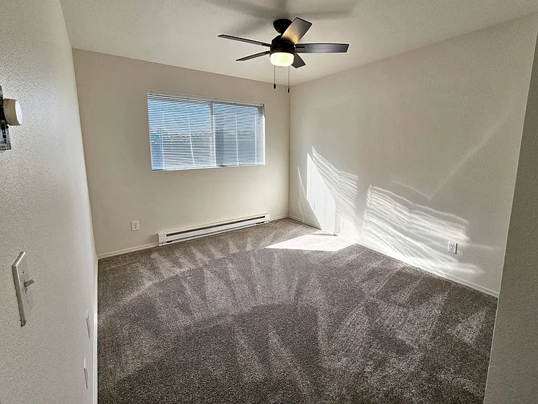 337fi — Photo 16