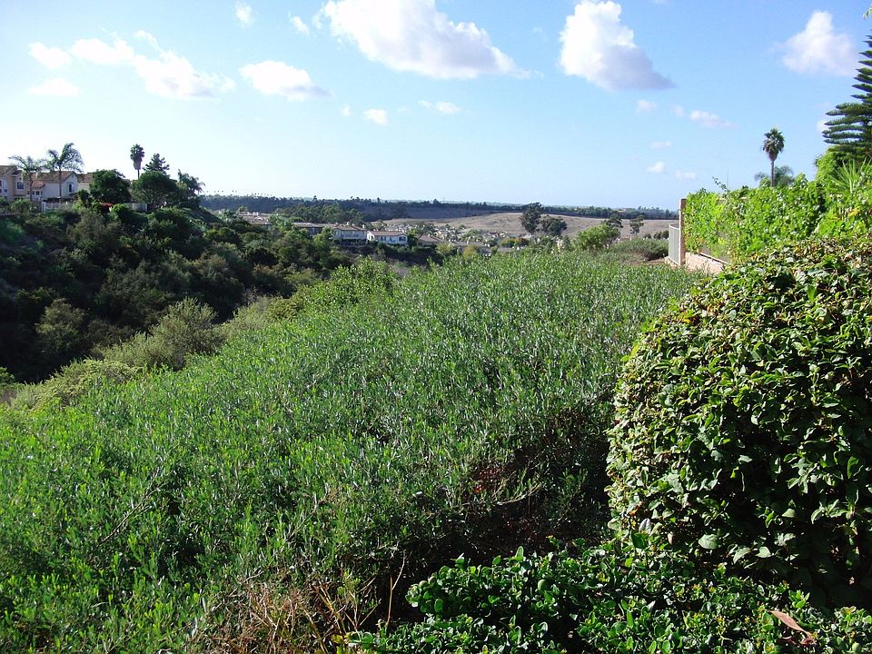 2nd image of 13743 Camino Del Suelo