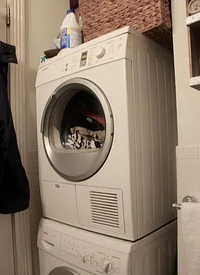 Rented by Next Step Realty New York LLC | media 23