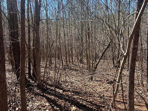 3rd image of 299 Hodges Rd