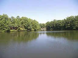 Beautiful & Serene Lake