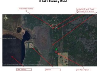 0 Lake Harney Rd, Osteen, FL 32764