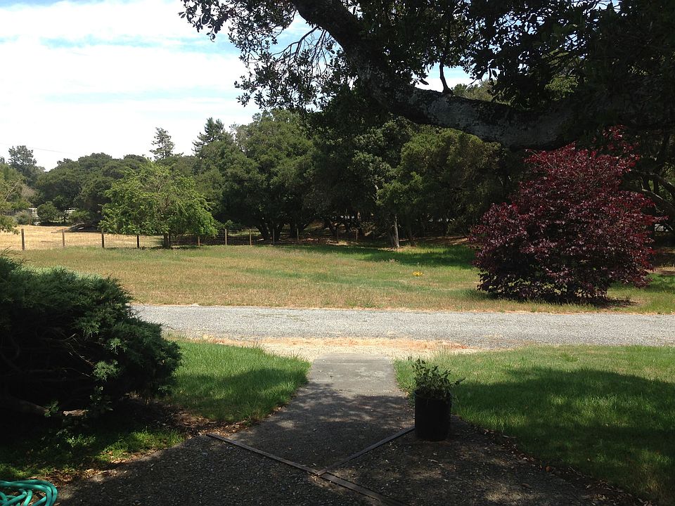 Oak trees screen property