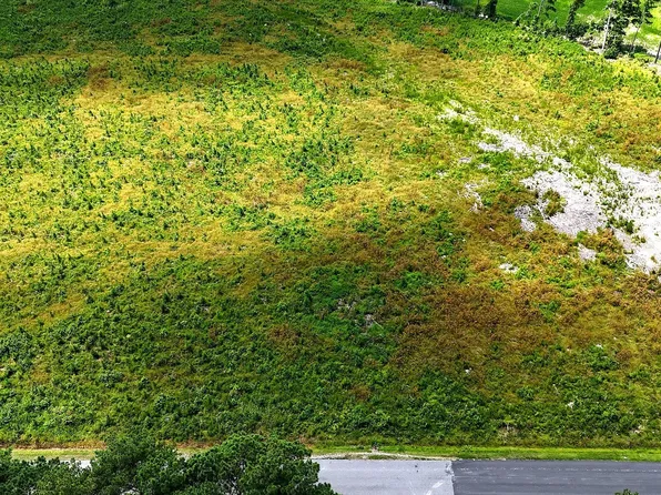 Cove Rd Lot 6, New Hope, NC 27944