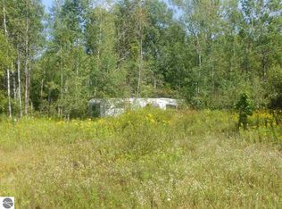 20 Avenue, Marion, MI 49665