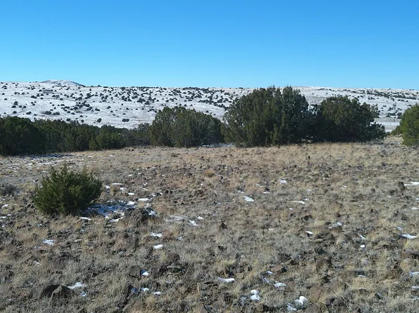 0 Concho Dr, Concho, AZ 85924