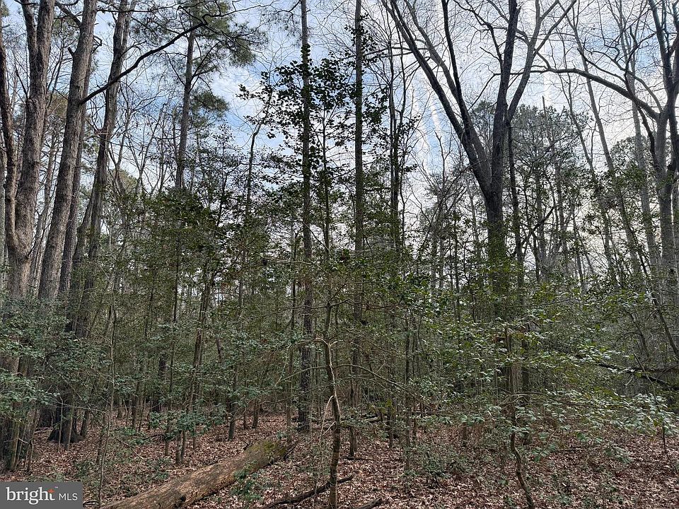 2nd image of 19285 Vanderhoof Ln