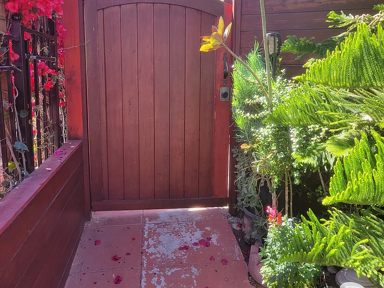 3716 Robinson Pl — Photo 46
