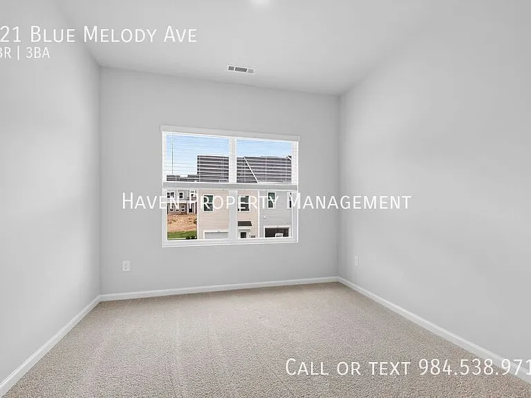 121 Blue Melody Ave — Photo 16