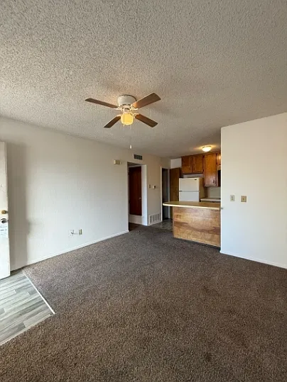 1595 W Frey St — Photo 4