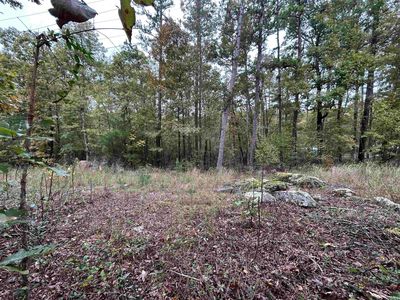 Budd Creek Rd, Higden, AR, 72067