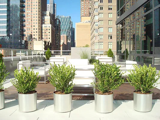 Rented by RSNY Realty | media 48