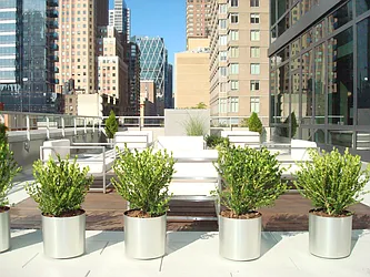 Rented by RSNY Realty