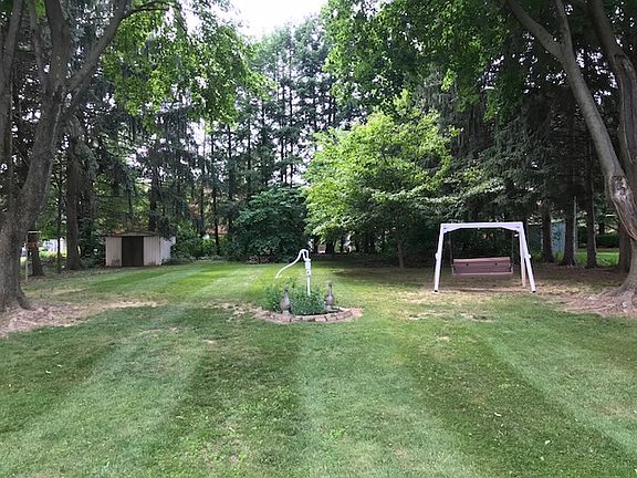 Back yard