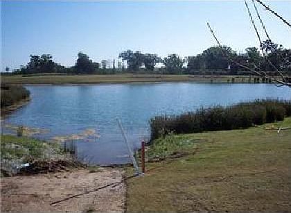 Pond Across Street