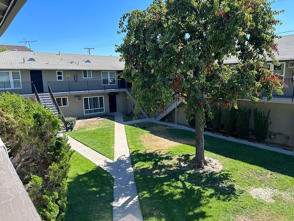 Mature tree and yard in courtyard of Edison Apartments in Burbank, California.