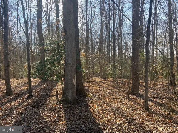 Coakley Ln, Fredericksburg, VA 22406