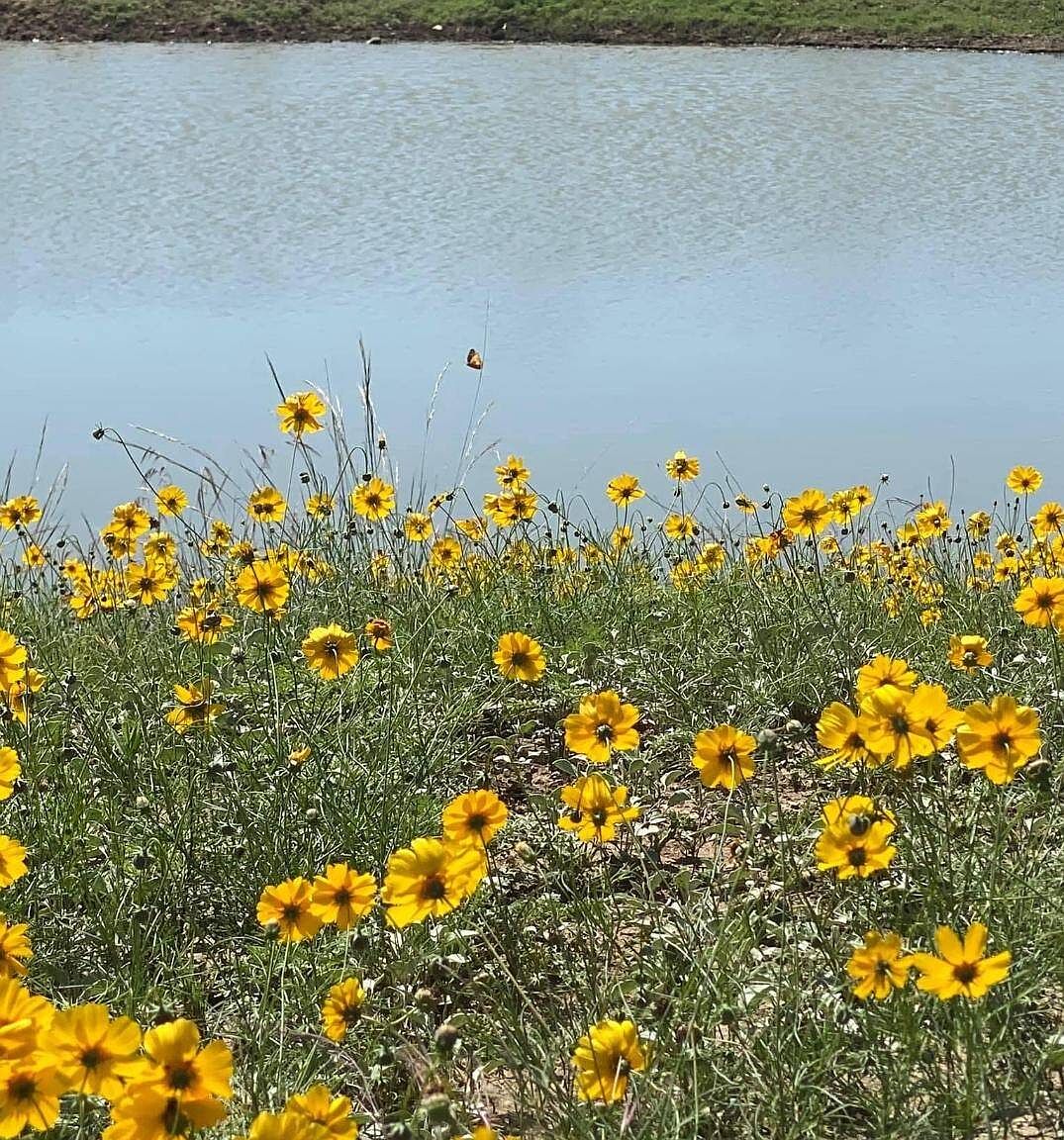 20701 Recreation Rd 11, Millersview, TX 76862 Zillow