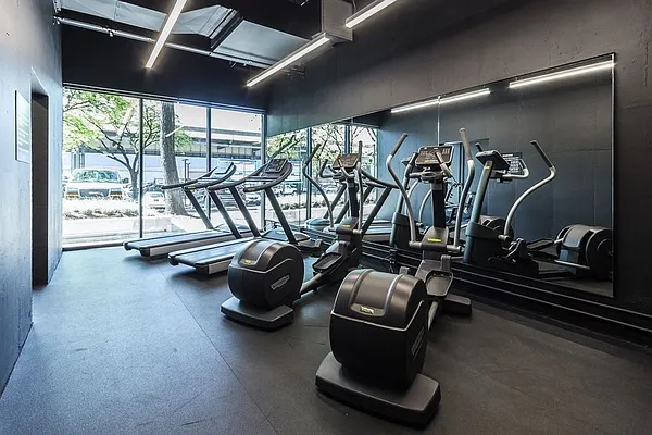 Rented by Bold New York | media 8