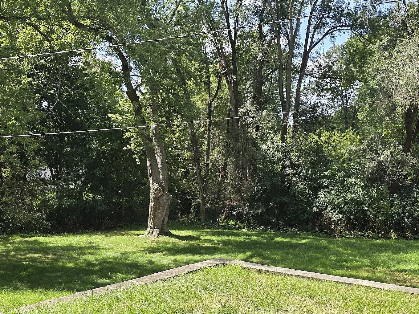 15945 Smith Drive - 1 — Photo 3
