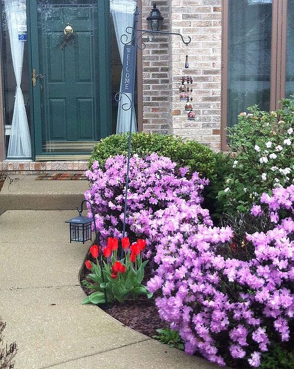 Fantastic curb appeal