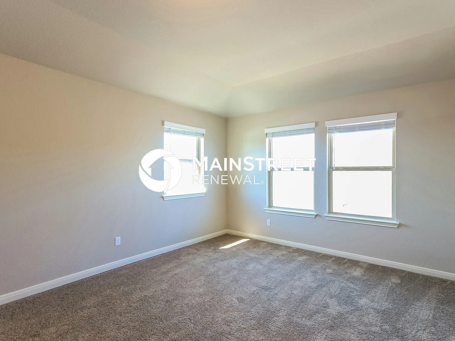 1529 Arcadian Lily — Photo 4